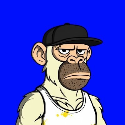 camol225096's profile picture. super serious growth professional • @D20_Labs • @visitsugartown 🃏