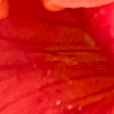 terribltroubl's profile picture. 