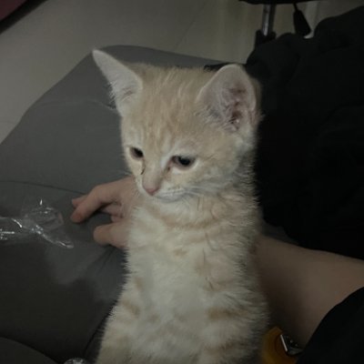haobacherry's profile picture. 