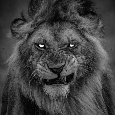 ali48597's profile picture. 