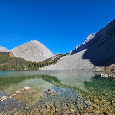 JanCan82779717's profile picture. Ontarian by birth, Albertain by choice.