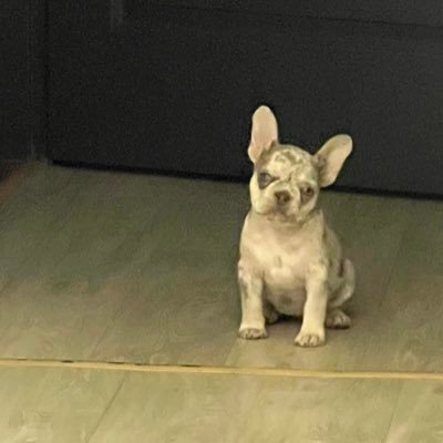 kefachie's profile picture. Медийная личность