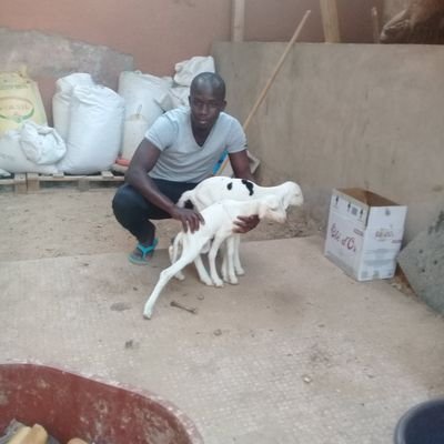 BojangKara15687's profile picture. 