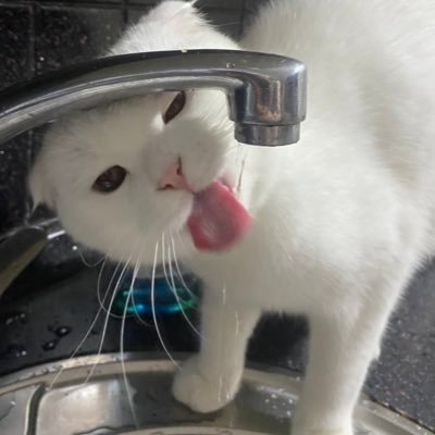 melisssauznnn's profile picture. Çay koy yeniden başlıyoruz