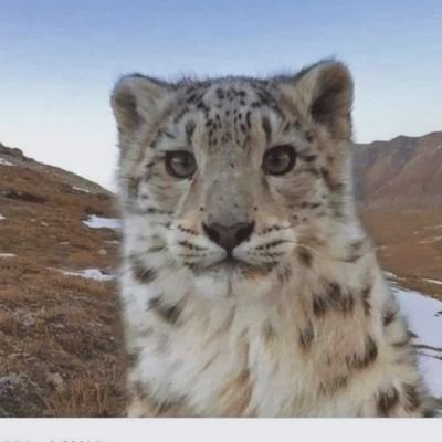 anotheruser9595's profile picture. 