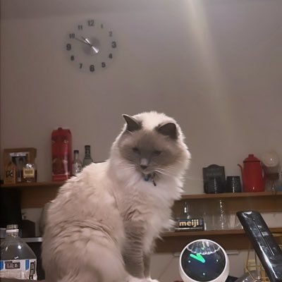 eld_raf_s1's profile picture. 本日からもよろしくお願いいたします。 ⸝‍Alice×Aliceの、、