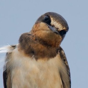 unbiz101030's profile picture. 제주 비혼 여성
여자랑 싸우기 싫음