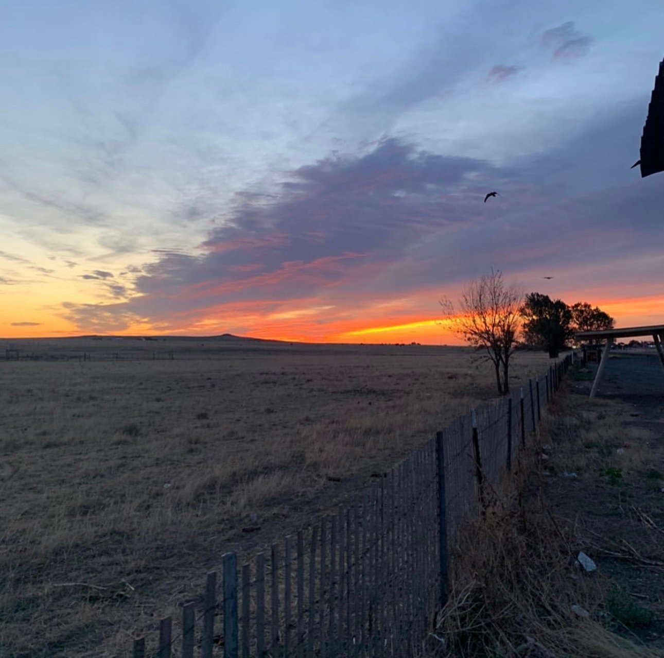 SAlvarezzS's profile picture. 