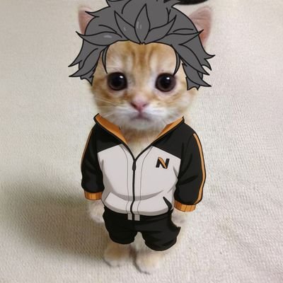 Sumikoさんのプロフィール画像