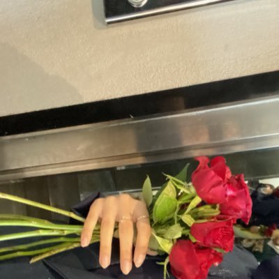 aani0x's profile picture. 