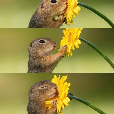 ParkLee9086's profile picture. 🐾 Pet lover on a mission ! freedom of speech is importan