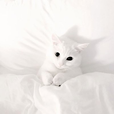 Ethel99887's profile picture. 🛠 Each scar is proof of strength, not defeat.