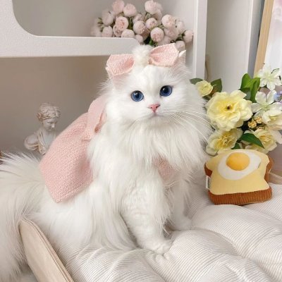 Matilda666022's profile picture. 📍 I’m not lost I’m learning to read my own map.