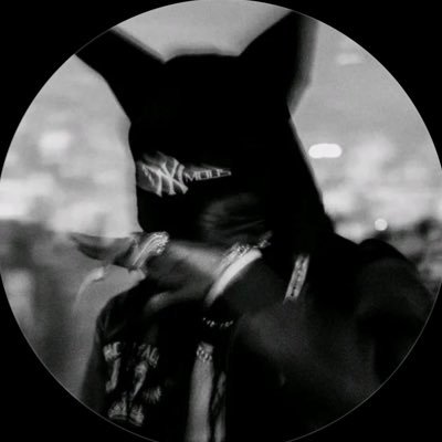 pphantaa's profile picture. retired competitive fortnite player