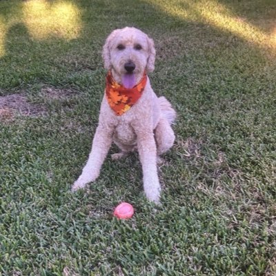 MicheleS239's profile picture. I was the baby for seven years and then the tenth came along.