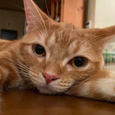 光さんのプロフィール画像