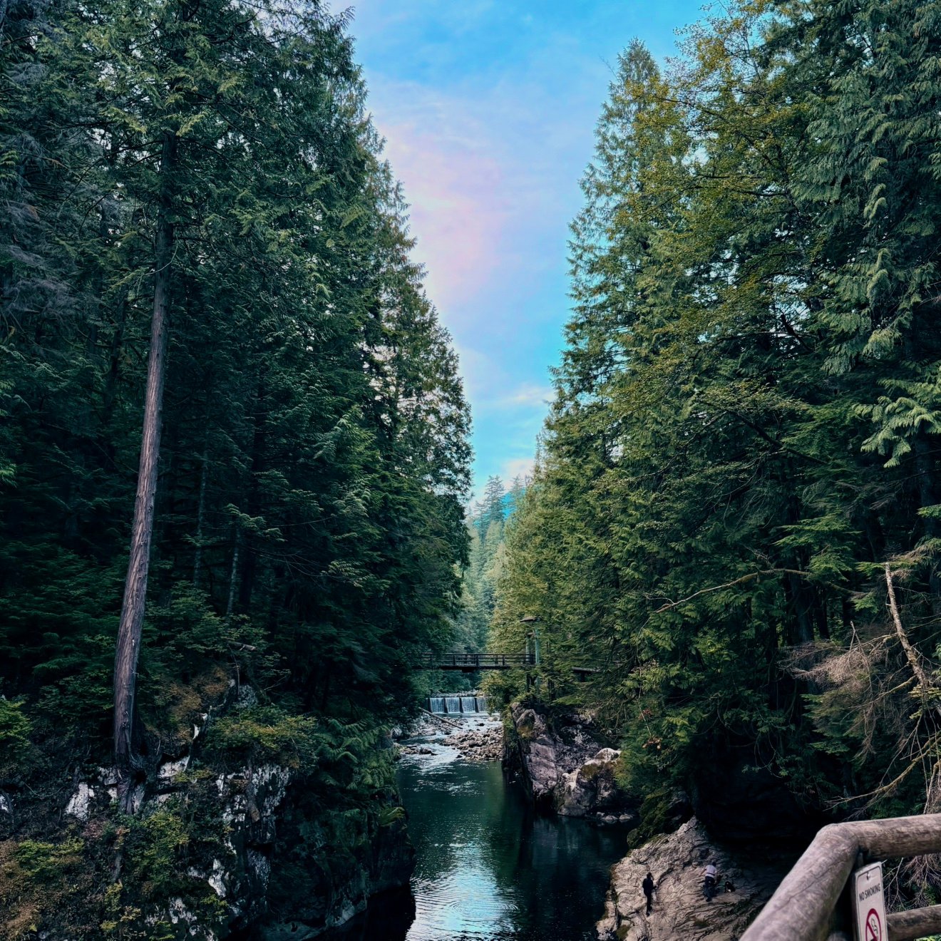 Marooooo22's profile picture. 