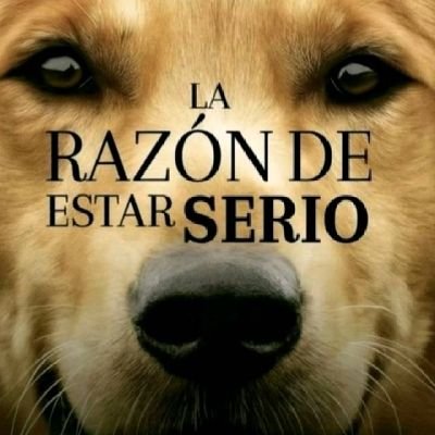 enbraticle41647's profile picture. spooky nose si revivire esta madre