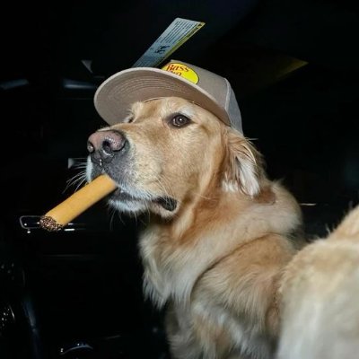 TwezzyDE's profile picture. worked with: @TheOneHQ @EsportsPsychoEU @TeamEvenezy @TeamCreedGGs & more...