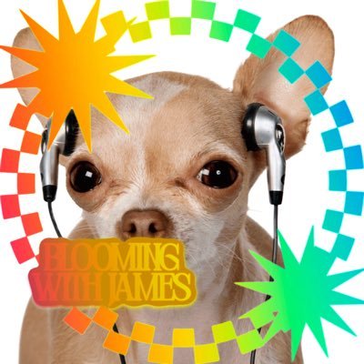 cortisley's profile picture. 
