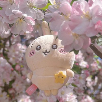 Indiacsxks's profile picture. 日本語はまだ初心者だけど、旅行先で少しでも日本語を使って、地元の人ともっと交流したい。旅行を通じて、言葉の勉強がもっと楽しくなる気がする！🗣️🌟