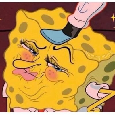 _elsitaaa's profile picture. Your local cat mom