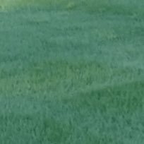 XBABSUCUS's profile picture. 