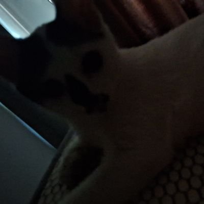 bee_hot58's profile picture. 