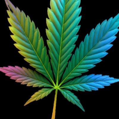 Prime_genetics_'s profile picture. Building stable and elite genetics for the community to grow.