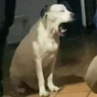 t1to__cs's profile picture. 