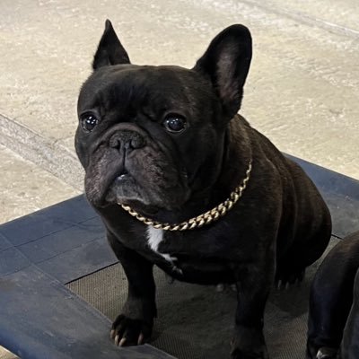 WaynePitts13's profile picture. #MAGA #PPC Opinions are my own.