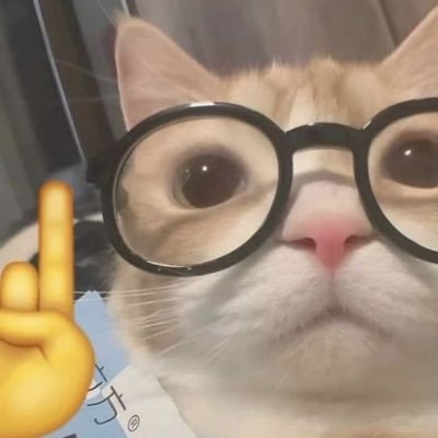 dvstlah's profile picture. vivendo e se fudendo / for the girls and for the gays