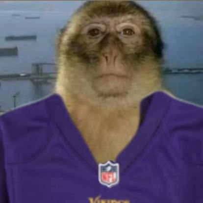 JakeLaymanStan's profile picture. #RaisedByWolves #Skol #MNTwins #mnwild
