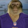 JakeLaymanStan's profile picture. #RaisedByWolves #Skol #MNTwins #mnwild