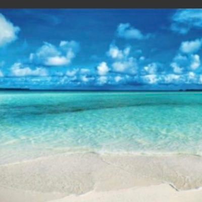 yuuuu0951's profile picture. 50代でこれから一花咲かせようと思っています🌟繋がって頂ける方は無言フォローでも大丈夫👍