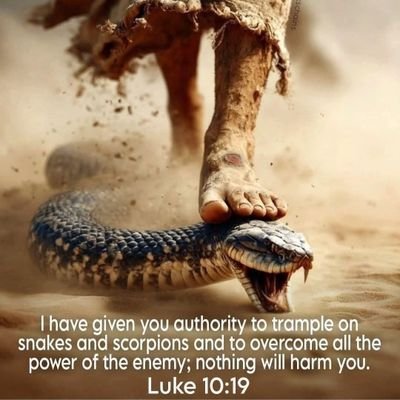Gadgetman_Yogi's profile picture. 
