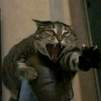 wheexid's profile picture. nothing lasts forever