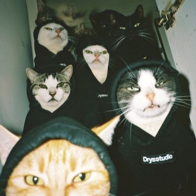 foxeyleggin's profile picture. Naughty by nature 🙀🌚