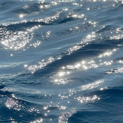 Sakezako0831's profile picture. 勘が鋭いTOでした😌