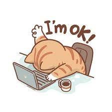 0xLemon123's profile picture. 空投教程｜项目投研｜信息整合