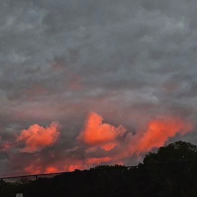 Whosthatwolf's profile picture. idek what to do with this acc...