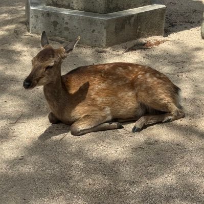 koharu7426238's profile picture. 柏崎小→八戸三中→八戸高校→岩手大学→岩手大学 大学院→都内の会社