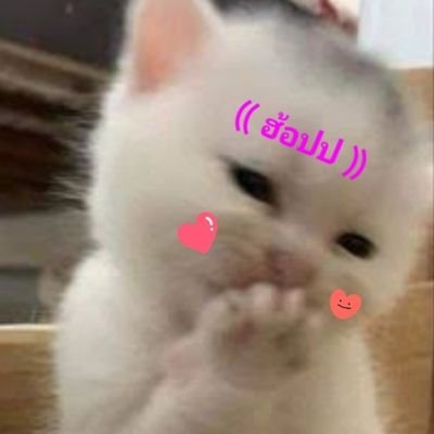 CLisa_BeckyF's profile picture. 🇹🇭 #Chaelisa #Jensoo 🖤🩷 BP   #FreenBecky #ฟรีนเบค #IceMemi #Bmine #GLthai ตามส่องคู่รักอยู่แสนแปดเรือGL🤣 #สลิ่มเมะGL #MayuIShikawa 🏐🫶