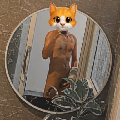 midnightgth's profile picture. 