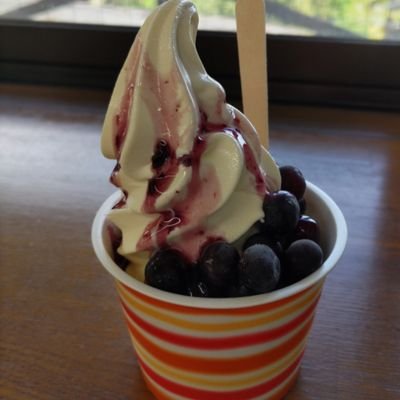 epire87's profile picture. 「恥をしれ、恥を！」
この言葉を聞いた時から石丸さんをYouTubeで追い始めました。石丸さんの活動を知るためだけにXに登録。彼の活動を心から応援しています。