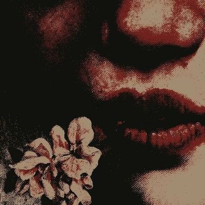 luudszs's profile picture. 🦢
