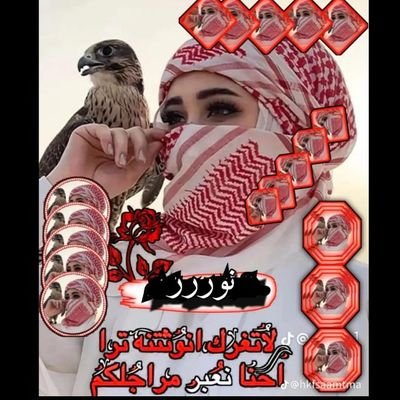 swq1665404's profile picture. 