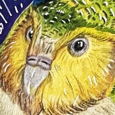 astrapionte's profile picture. 21 💫| Zoology student & artist. I draw animals, especially the extinct ones. ❌ AI SLOP. Interested in a commission? send me a DM!