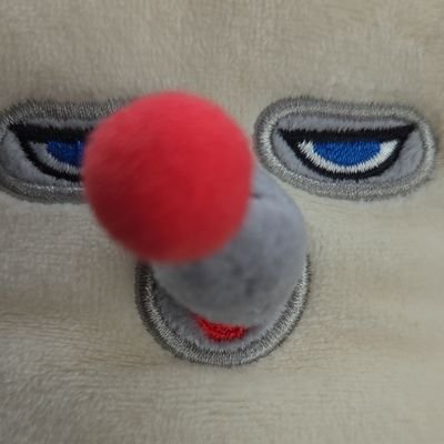 シュナシュナさんのプロフィール画像