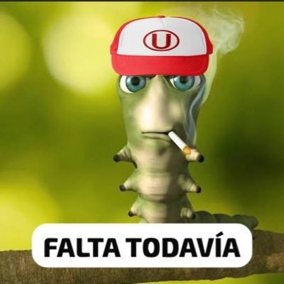 conchismo21's profile picture. @Universitario @MiamiHEAT